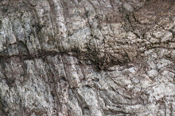 stone  texture