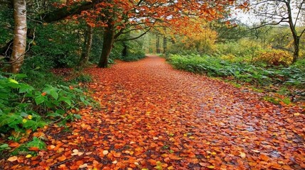Obraz premium Autumn Pathway Covered with Colorful Leaves in Forest Landscape