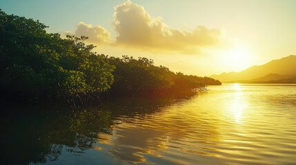 Fototapeta premium Serene Sunset Over Tranquil Mangrove Forest by Calm Water