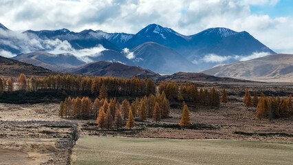 Aerial view of Castle Hill village  an alpine village in Canterbury, New Zealand