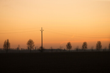 Fototapeta premium Silhouetted trees and a power pole standing tall against a beautiful sunset sky filled with vibrant hues, creating a peaceful scene