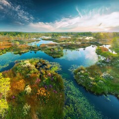 Vibrant Artistic Depiction of Wetlands Promoting Nature Harmony for World Wetlands Day