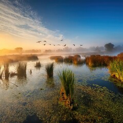 Fototapeta premium Serene Wetland with Migratory Birds and Aquatic Plants in Misty Morning Light