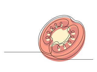 Continuous one line red tomato halves isolated on white background. Simple vegetable silhouette. Hand drawn tomato outline. Vector illustration