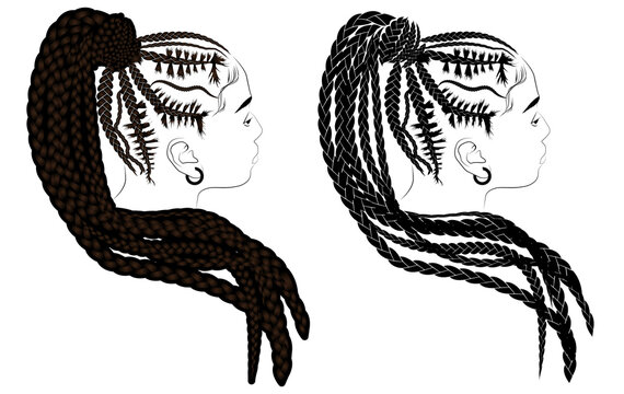Black braid hairstyles and Top Buns - Braid Illustration - African Hairs