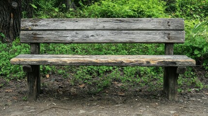 Fototapeta premium Rustic Wooden Bench Surrounded by Lush Greenery in Nature