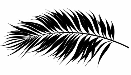 Obraz premium Tropical palm leaf silhouette against a clear sky
