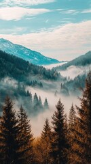 Obraz premium Misty Mountain Landscape in Pine Forest with Beautiful Blue Sky