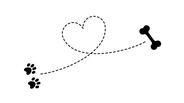 Dog Love Bone creative black and white animation
pet love bone animation with dotted lines or pathway