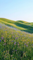Obraz premium Colorful Wildflowers Blooming on Rolling Green Hills in Spring