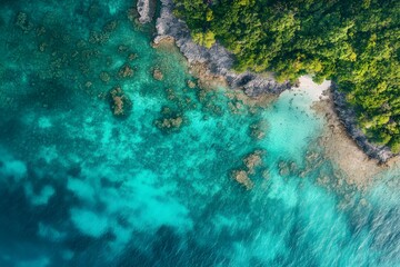 Aerial View of a Tropical Coastline with Turquoise Water