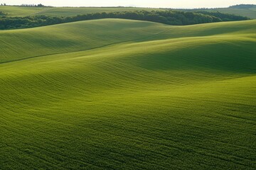 Obraz premium Beautiful grassy field with a winding road, a vibrant green meadow, rolling hills, a sunny day, a blue sky, an aerial view, a wide-angle lens, natural landscape photography, golden hour lighting