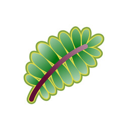 Green leaf icons set. Leaves icon on isolated background. Collection green leaf. Elements design for natural, eco, vegan, bio labels, print and edit. Vector illustration eps