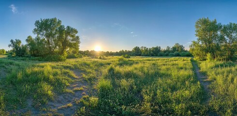 Fototapeta premium Beautiful summer landscape with a green meadow, trees, and a path under a blue sky at sunrise in Germany. featuring high-quality, high-resolution, professional photography with natural lighting