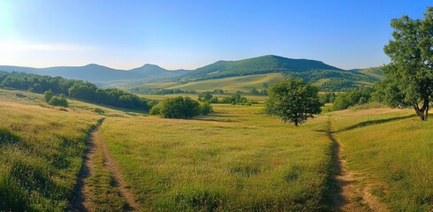 Naklejka premium Beautiful summer landscape with a green meadow, trees, and a path in the morning sun. Panoramic view of an idyllic countryside at sunrise with a blue sky, high-resolution photography, professional col