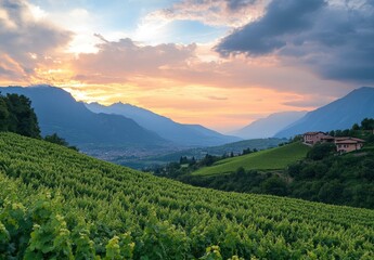 Obraz premium Beautiful summer landscape with green grass on the mountain top at sunset. Mountain range in the background, blue sky and clouds. Beautiful nature scene with sunlight. Beauty of the natural world.