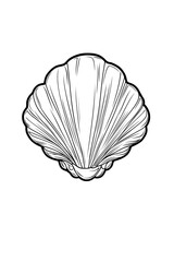 Intricate Line Art of a Shell Capturing the Beauty of Marine Life and Nature drawing and coloring page for printable