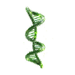 Green DNA Helix on Transparent Background