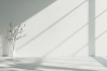 Wall with Simple Shadows Providing a Clean Background for Presentations