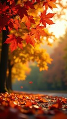 Vibrant autumn leaves, crisp air, golden sunlight, sky, birch, fall