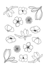 Floral or Flower line art set design. Editable for any usage, trendy illustration isolated on white background.