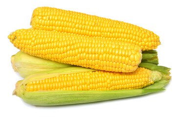 Fresh corn cob isolated on white background