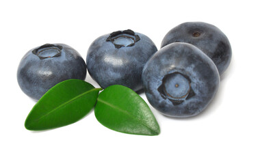 Blueberry macro with leaves isolated on white background