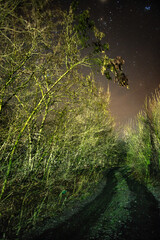Polar and night sky , night city with beautiful landscape at the night . Night photography , road and trees at the night