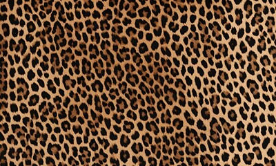 Wallpaper background images concept
