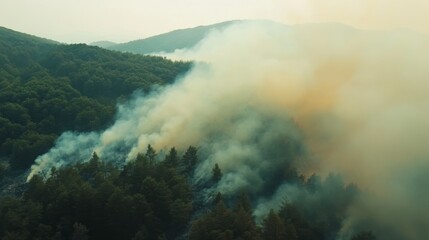 Fototapeta premium Smoky Forest Scene with Charred Landscape