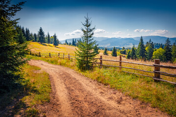 Empty dirt road in the mountain countryside. Coloorful summer view of Carpathian meadow, Ukraine,...