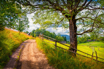 Amazing summer view of Carpathian garden with old country road. Astonishing morning scene of Stebny...