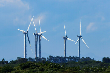 Fototapeta premium São João da Barra, RJ, Brazil, 01/02/2025 - Wind turbines near Paraiba do Sul river, viewed from São João da Barra