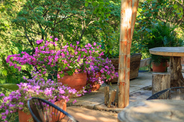 Bamboo house in the mountains