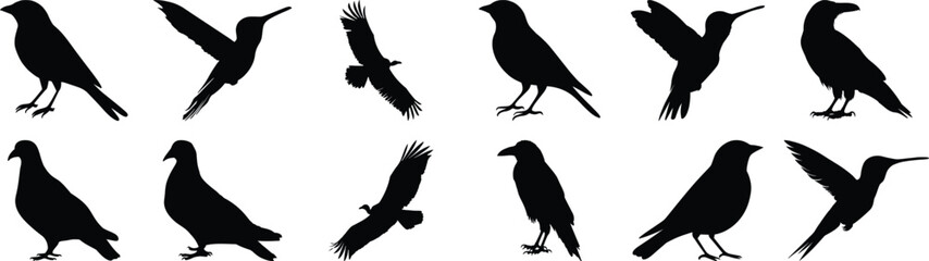 Bird silhouette set vector design big pack of animal illustration and icon