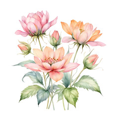 Delicate Watercolor Bouquet of Blossoms and Buds