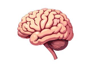 Modern Brain Vector Illustration