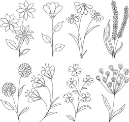 Collection of hand-drawn line art floral illustrations.