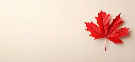 A vibrant red maple leaf on a light background.