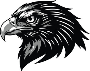 Obraz premium Monochrome Bald Eagle Head Illustration - Symbol of Power and Elegance