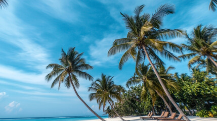 Obraz premium Majestic coconut trees under a vibrant blue sky with amazing details and perfect composition, high-definition photography showcasing tropical beauty.