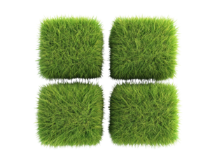 Four green cubes covered in vibrant grass.