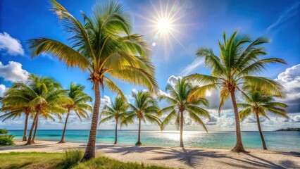 Obraz premium Palm trees swaying gently in the breeze on a sunny day at Paradise Island, sunshine, palm trees