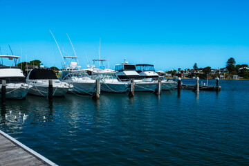 Fototapeta premium Lake Macquarie Yacht Club, home to LMYC Bar and Crusoe’s on the Lake Restaurant, is the perfect venue to dine and catch up with friends while admiring the beautifully unique view across Belmont Bay