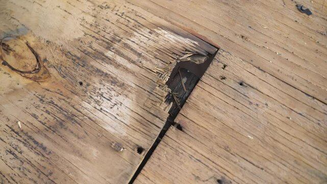 Detailed view of rotted plywood showing water damage and decay on roof deck.