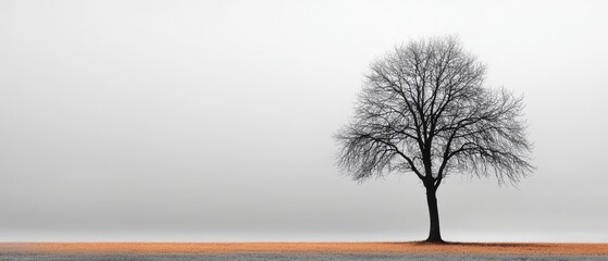 A solitary tree stands against a foggy backdrop, evoking a sense of calm and solitude in a minimalist landscape.