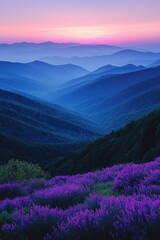 Beautiful sunset over rolling mountains with purple flowers in the foreground