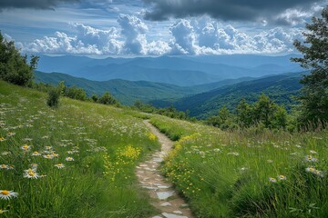Naklejka premium Scenic hiking trail winding through blooming wildflowers with mountains in the background
