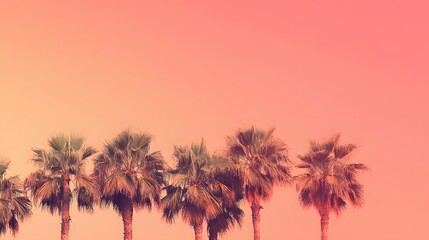 Fototapeta premium Palm Trees Silhouette Against a Coral Sky
