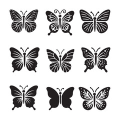 group of butterflies